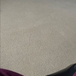 Meet your Posher, Shauna